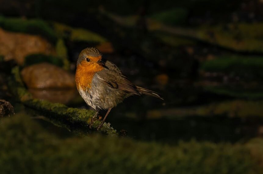 correlation synthesis log details