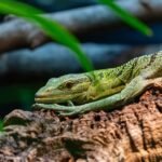 variable pattern log analysis