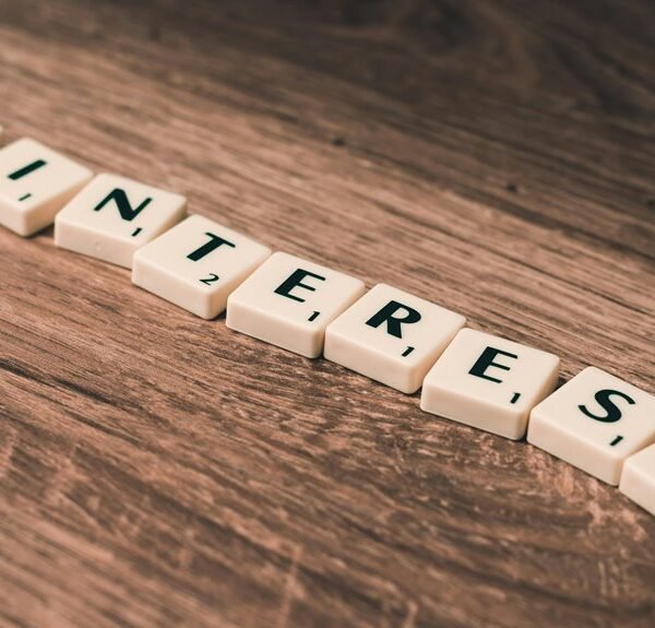 advanced web network success online